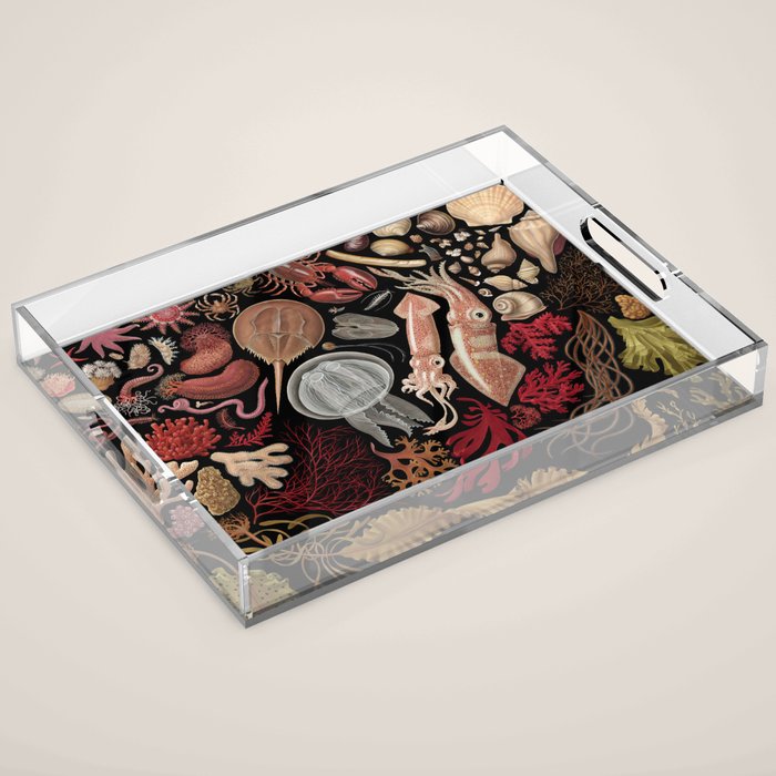 Intertidal Life of the North Atlantic (without species list) Acrylic Tray Gallery Image 1