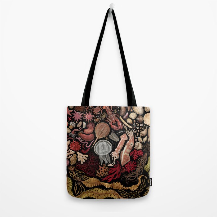 Intertidal Life of the North Atlantic (without species list) Tote Bag Gallery Image 2