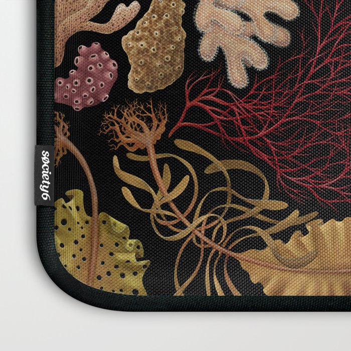 Intertidal Life of the North Atlantic (without species list) Laptop Sleeve Gallery Image 3