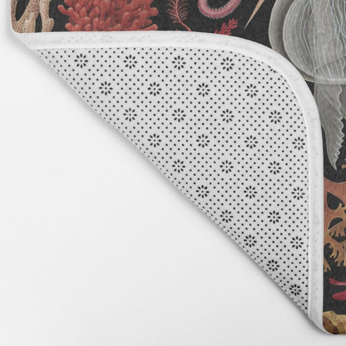 Intertidal Life of the North Atlantic (without species list) Bath Mat Gallery Image 2