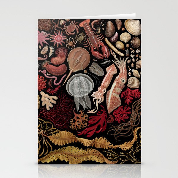Intertidal Life of the North Atlantic (without species list) Stationery Card Gallery Image 2