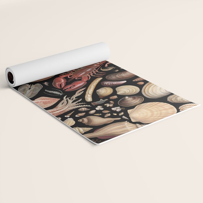 Intertidal Life of the North Atlantic (without species list) Yoga Mat Gallery Image 2