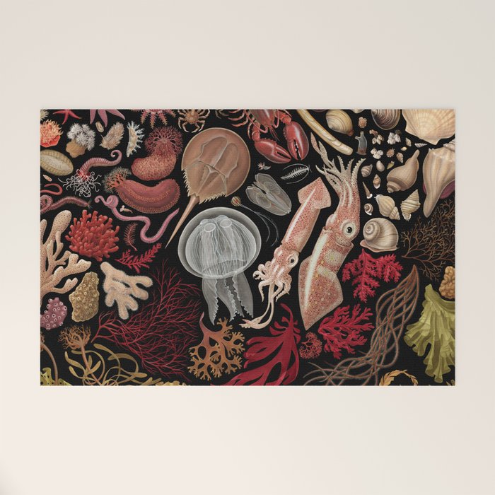 Intertidal Life Of The North Atlantic (Without Species List) Welcome Mat