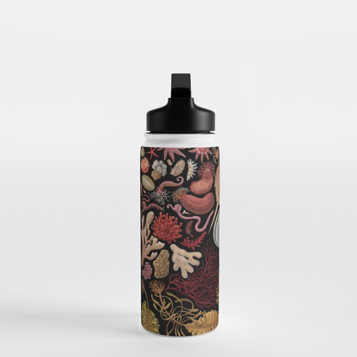 Intertidal Life of the North Atlantic (without species list) Water Bottle Gallery Image 3