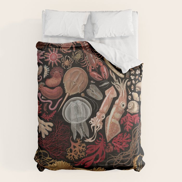 Intertidal Life of the North Atlantic (without species list) Comforter Gallery Image 6