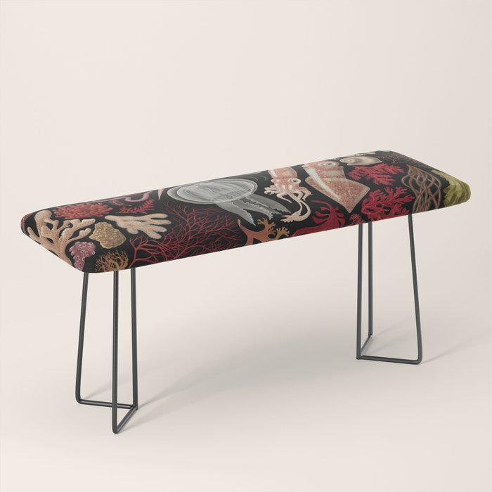 Intertidal Life of the North Atlantic (without species list) Bench Gallery Image 1