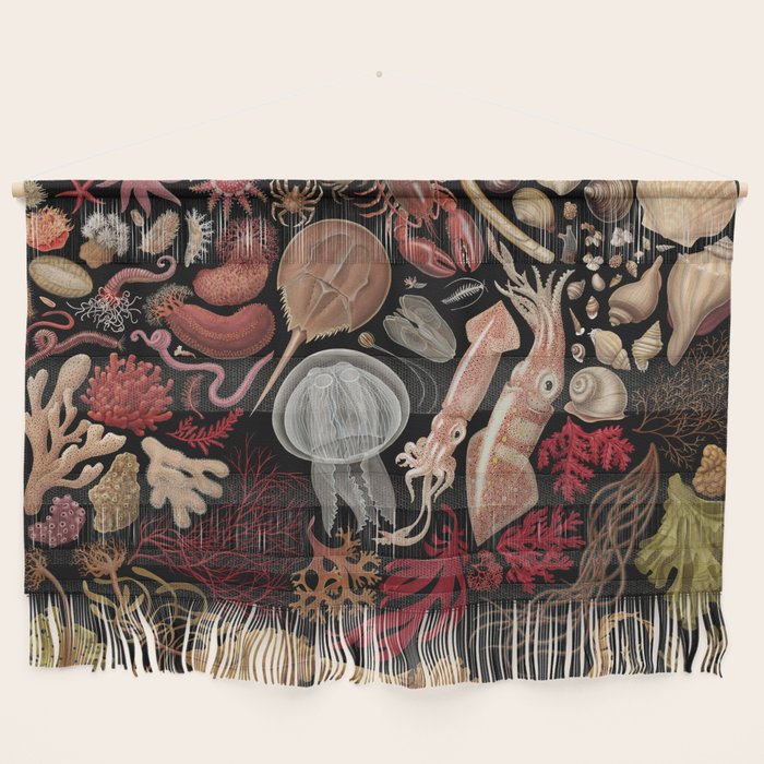 Intertidal Life of the North Atlantic (without species list) Wall Hanging