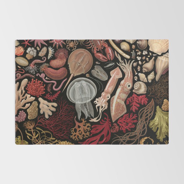 Intertidal Life of the North Atlantic (without species list) Rug Gallery Image 2