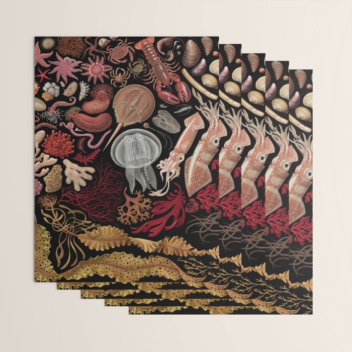 Intertidal Life of the North Atlantic (without species list) Wrapping Paper Gallery Image 3