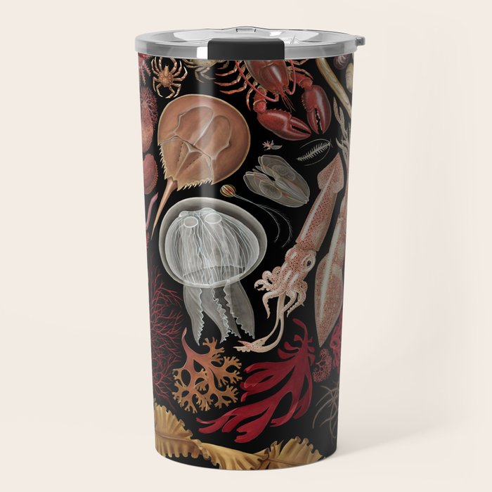 Intertidal Life of the North Atlantic (without species list) Travel Mug Gallery Image 1