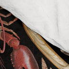Intertidal Life of the North Atlantic (without species list) Comforter Gallery Image 4