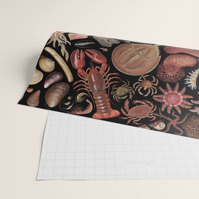 Intertidal Life of the North Atlantic (without species list) Wrapping Paper Gallery Image 2
