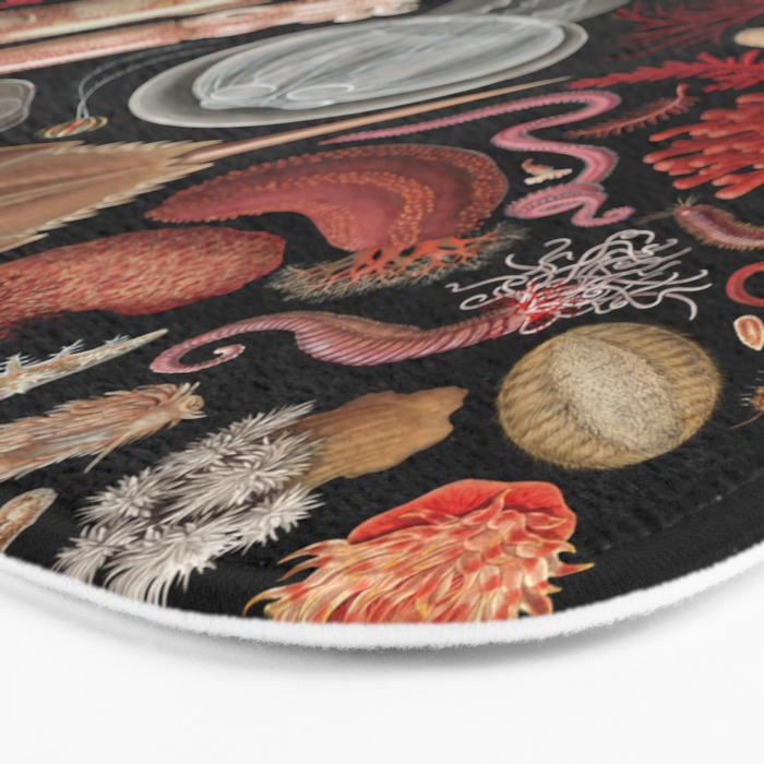 Intertidal Life of the North Atlantic (without species list) Bath Mat Gallery Image 3