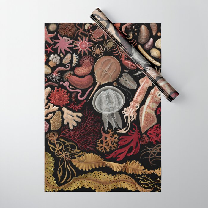 Intertidal Life of the North Atlantic (without species list) Wrapping Paper Gallery Image 1