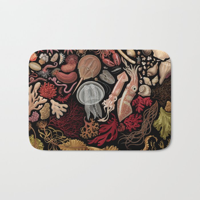 Intertidal Life of the North Atlantic (without species list) Bath Mat Gallery Image 1