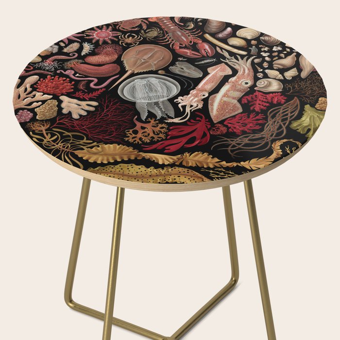 Intertidal Life of the North Atlantic (without species list) Side Table Gallery Image 2
