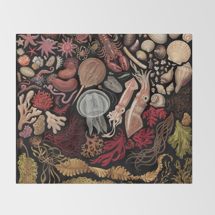 Intertidal Life of the North Atlantic (without species list) Throw Blanket Gallery Image 2