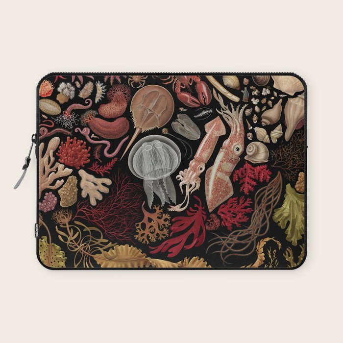 Intertidal Life of the North Atlantic (without species list) Laptop Sleeve Gallery Image 1