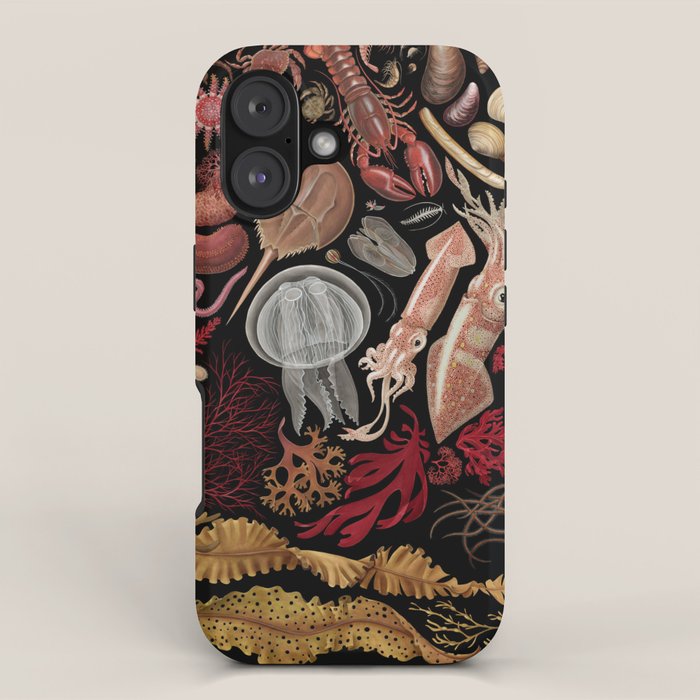 Intertidal Life of the North Atlantic (without species list) iPhone Case Gallery Image 1