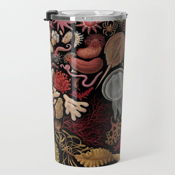 Intertidal Life of the North Atlantic (without species list) Travel Mug Gallery Image 3