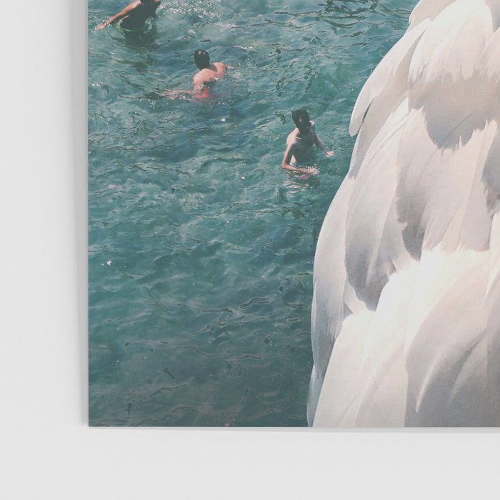 Swan on the Beach Poster Gallery Image 3