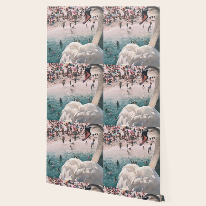 Swan on the Beach Wallpaper Gallery Image 2