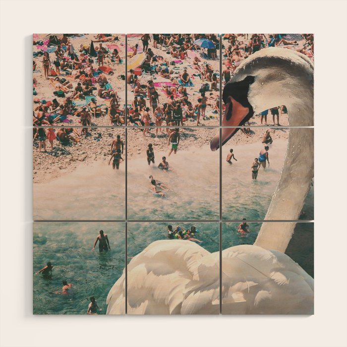 Swan on the Beach Wood Wall Art Gallery Image 3