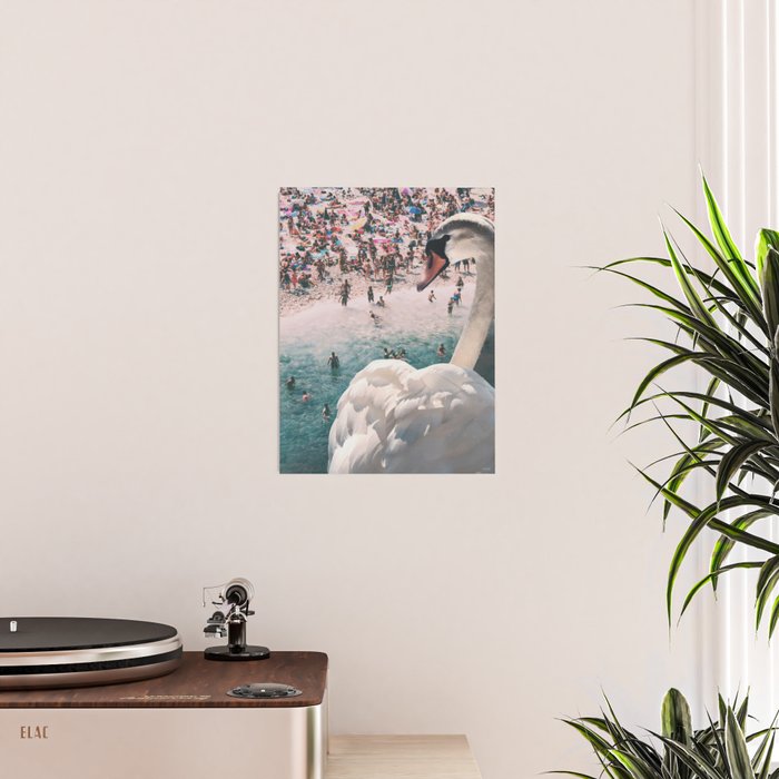 Swan on the Beach Poster Gallery Image 2