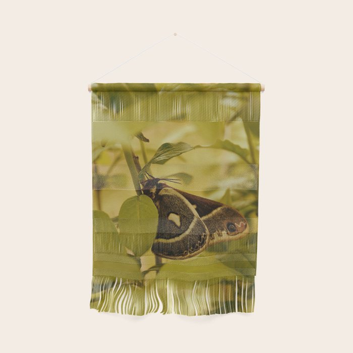 Wyoming Moth Wall Hanging Gallery Image 1