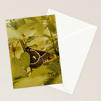 Wyoming Moth Stationery Card Gallery Image 2