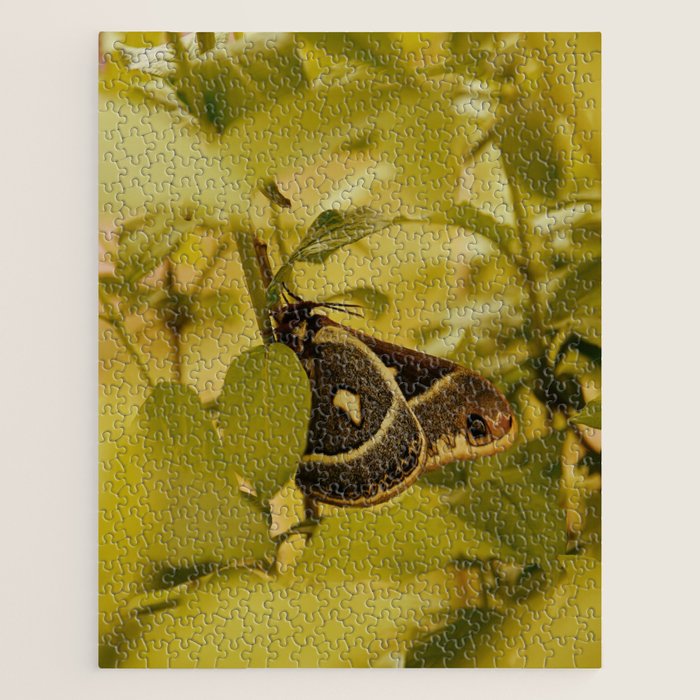 Wyoming Moth Jigsaw Puzzle Gallery Image 1