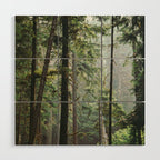 Forest VIII Wood Wall Art Gallery Image 1