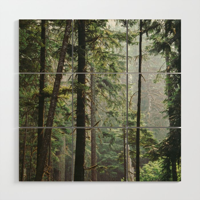 Forest VIII Wood Wall Art Gallery Image 1