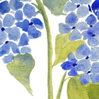 Blue Gouache Hydrangea Coffee Mug Gallery Image 2