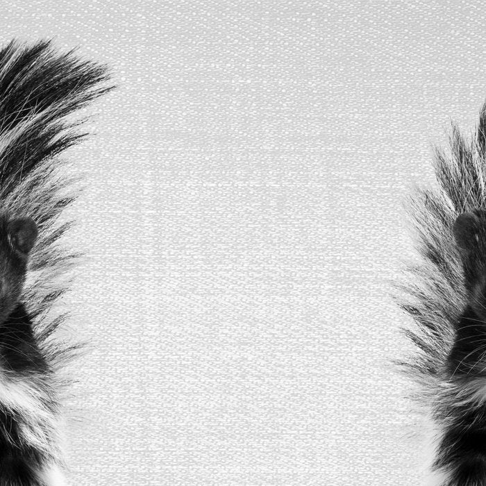 Skunk - Black & White Coffee Mug Gallery Image 2