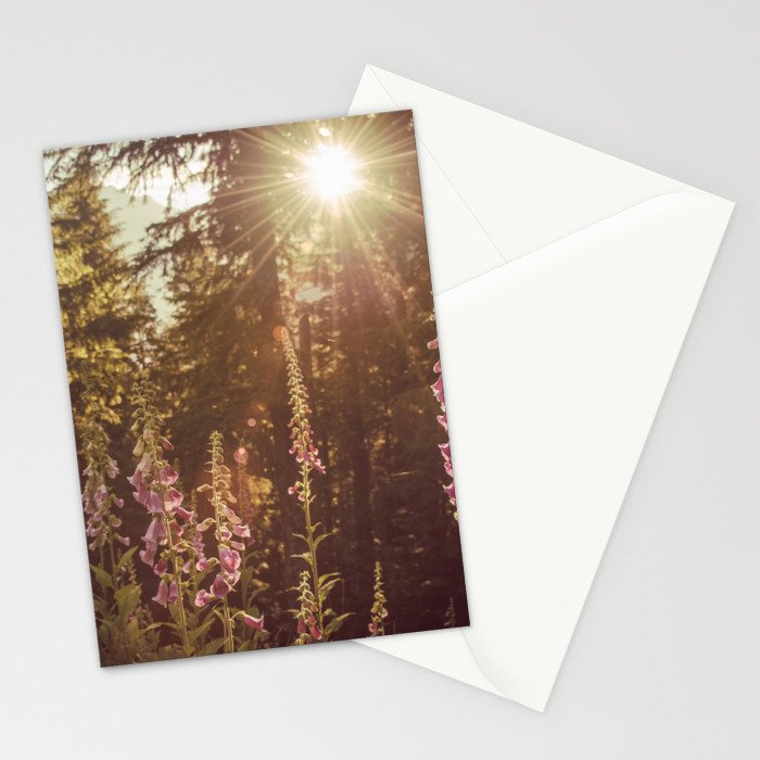 Wildflower Sunrise in the Mountains - Nature Photography Stationery Card Gallery Image 2
