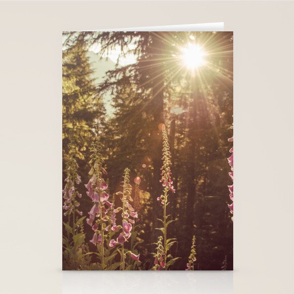 Wildflower Sunrise in the Mountains - Nature Photography Stationery Card Gallery Image 1