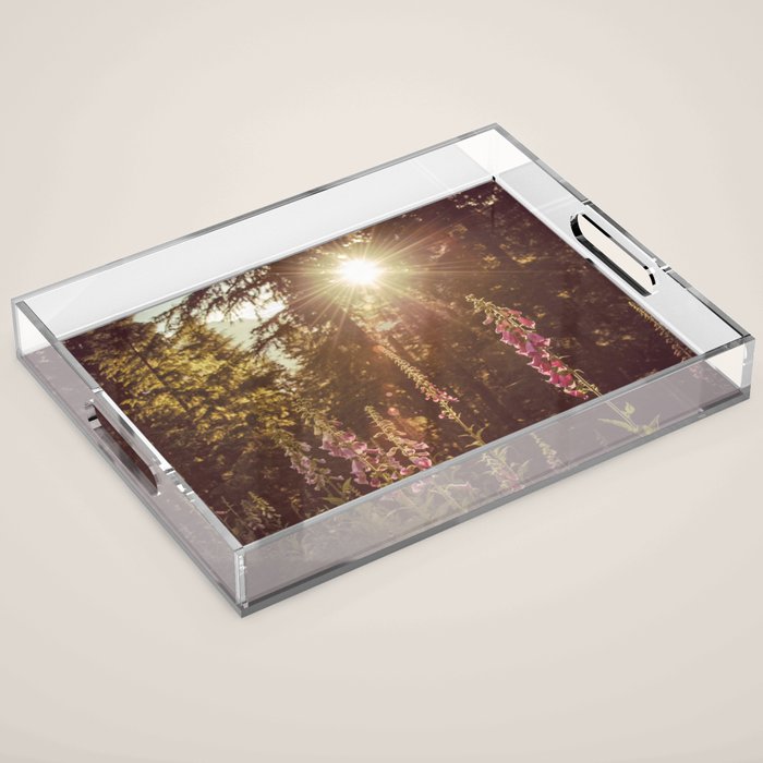 Wildflower Sunrise in the Mountains - Nature Photography Acrylic Tray Gallery Image 1