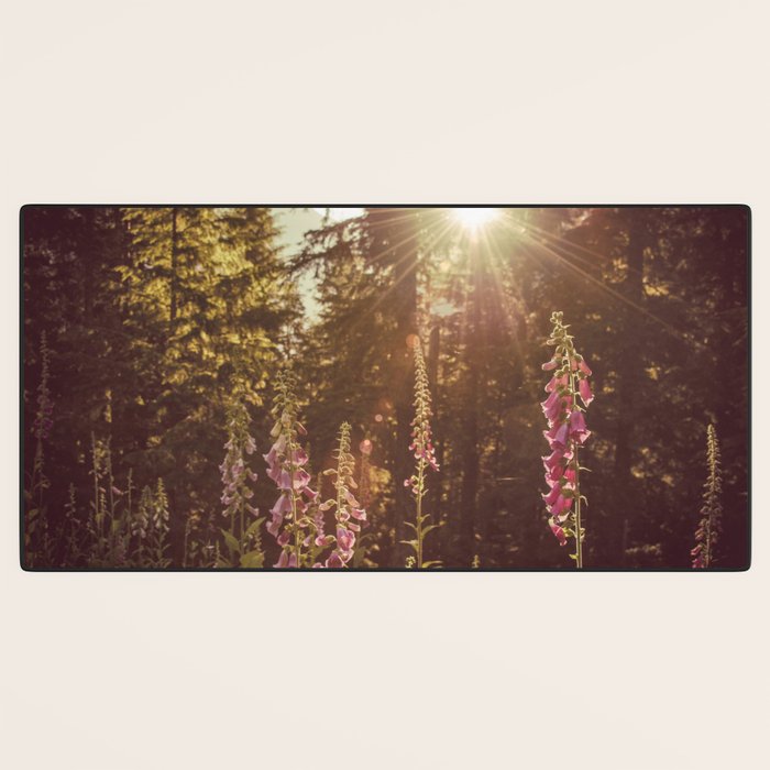 Wildflower Sunrise in the Mountains - Nature Photography Desk Mat Gallery Image 3