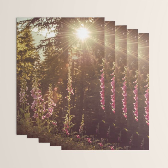Wildflower Sunrise in the Mountains - Nature Photography Wrapping Paper Gallery Image 3