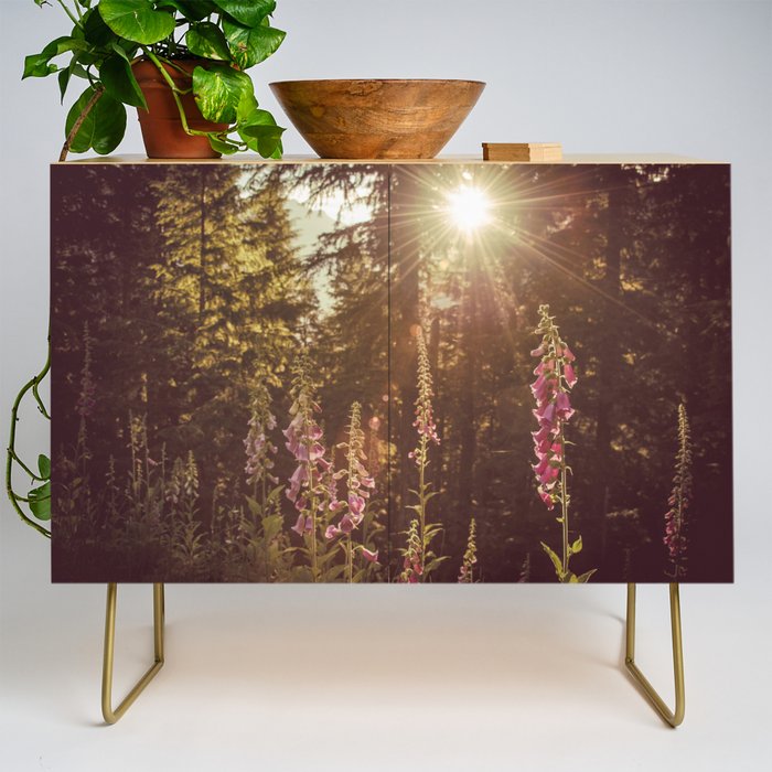Wildflower Sunrise in the Mountains - Nature Photography Credenza Gallery Image 1