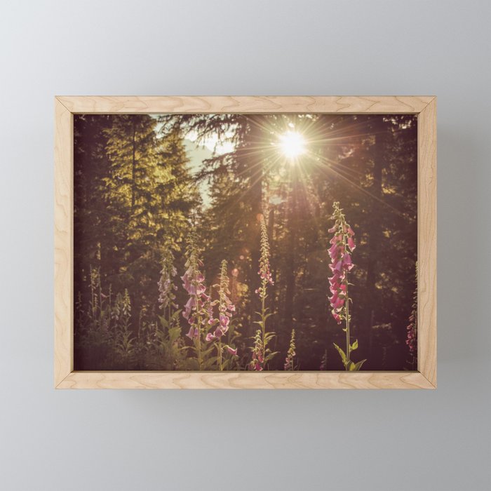 Wildflower Sunrise in the Mountains - Nature Photography Mini Art Print Gallery Image 1