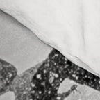 Ski Powder // Black and White Snowy Colorado Backcountry Skiing Whiteout Snowing Comforter Gallery Image 4