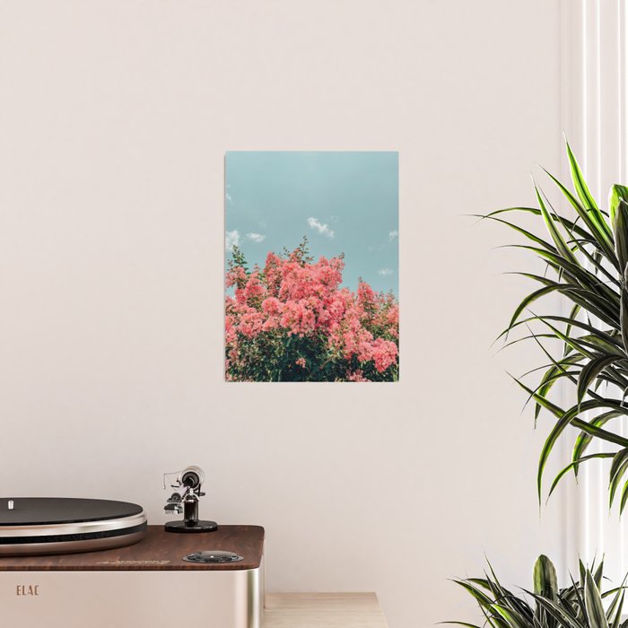 Crepe Myrtle Poster Gallery Image 2