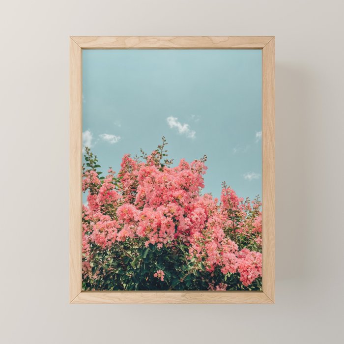 Crepe Myrtle Mini Art Print Gallery Image 1