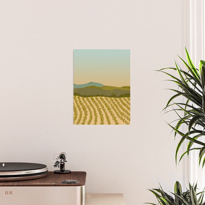 Santa Rosa, California Vineyard Poster Gallery Image 2