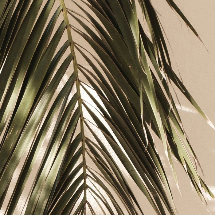 Palm Leaf Shadow Summer Coffee Mug Gallery Image 2