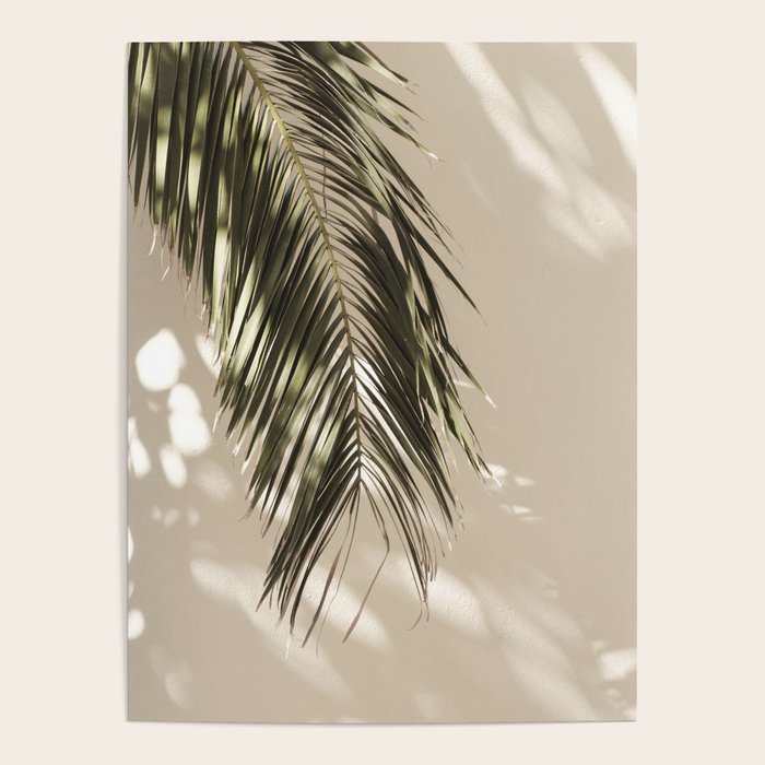 Palm Leaf Shadow Summer Poster Gallery Image 4