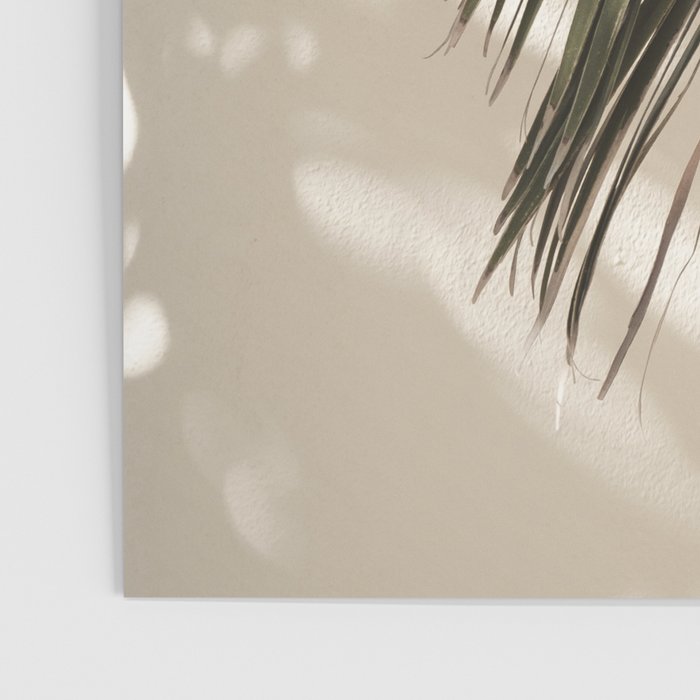 Palm Leaf Shadow Summer Poster Gallery Image 3