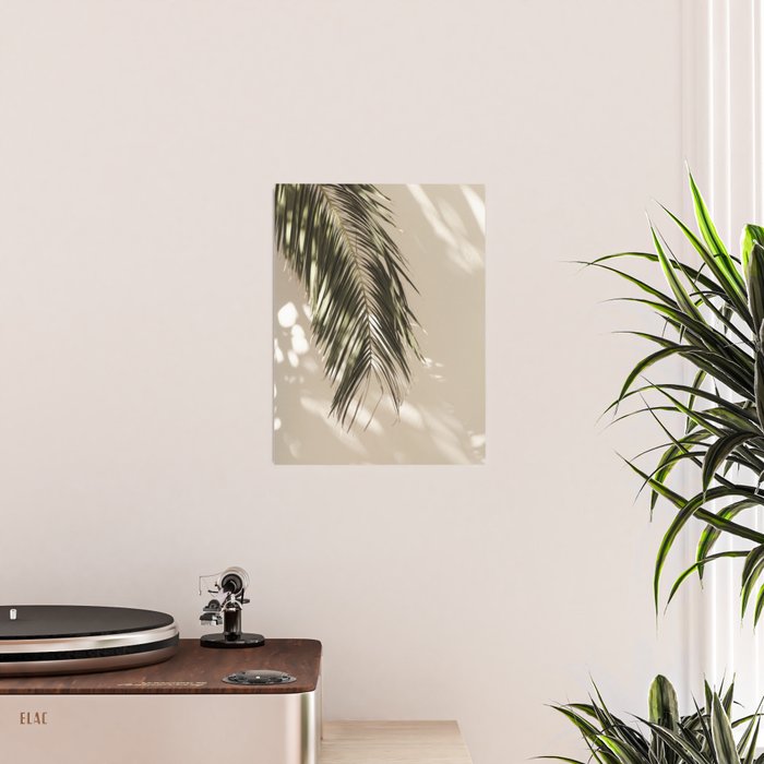 Palm Leaf Shadow Summer Poster Gallery Image 2